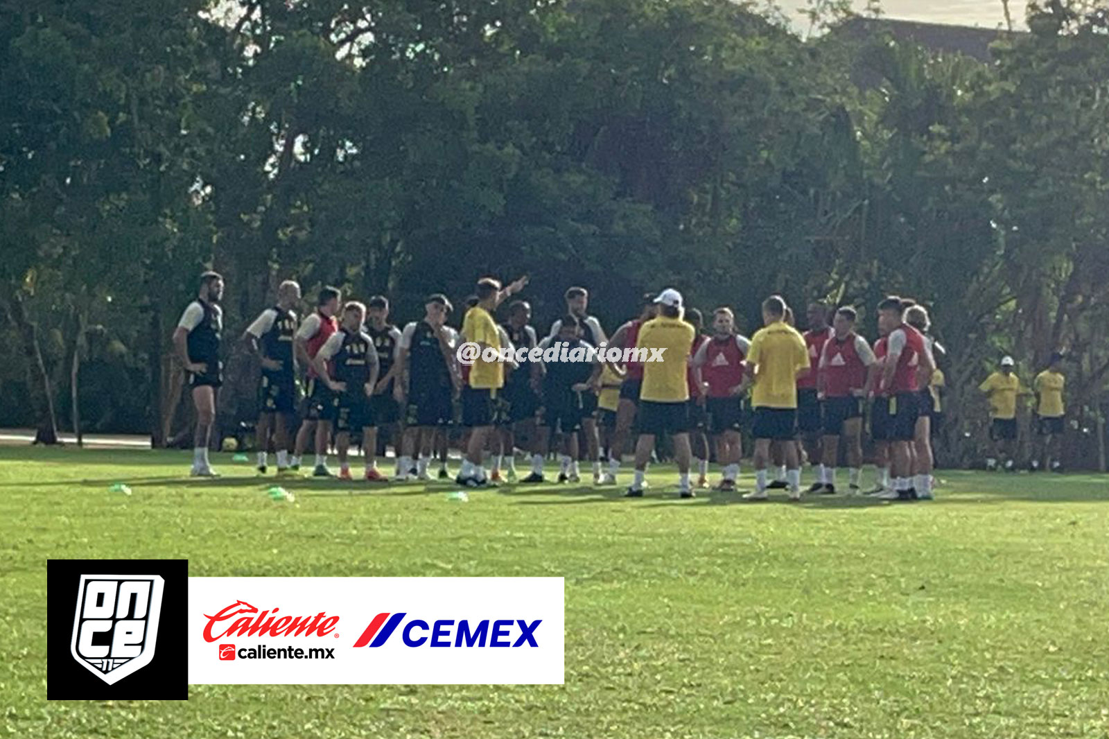 Primer entrenamiento de Veljko Paunovic con Tigres