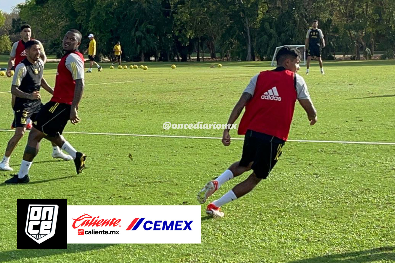 Primer entrenamiento de Veljko Paunovic con Tigres